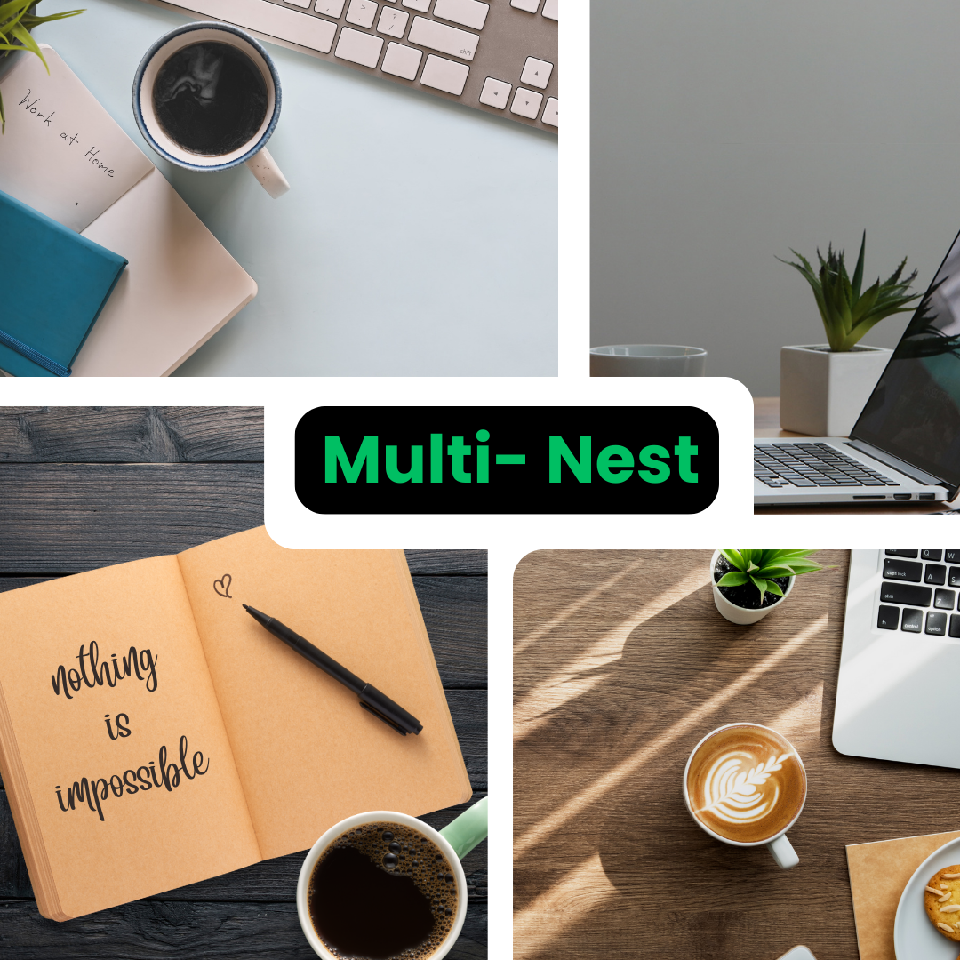 Productivity Multi-Nest